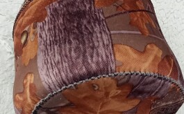 IMG20240303083615_00.jpg