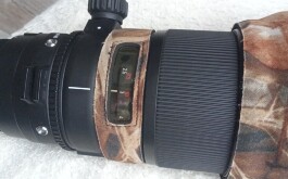 IMG20240303083855_00.jpg