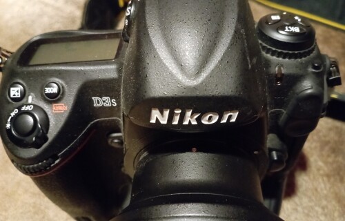 Nikon D4s