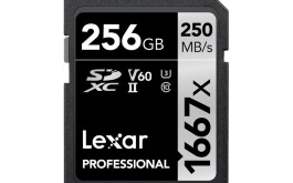 LexarSDXC256.jpg