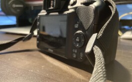 IMG_1931.jpeg