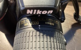 IMG_1937.jpeg