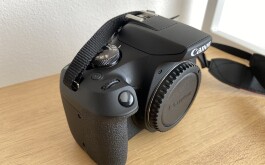 IMG_4494.jpeg