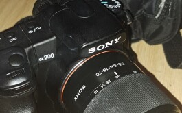 20250313_085338.jpg