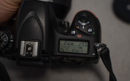 SNA01642.jpg