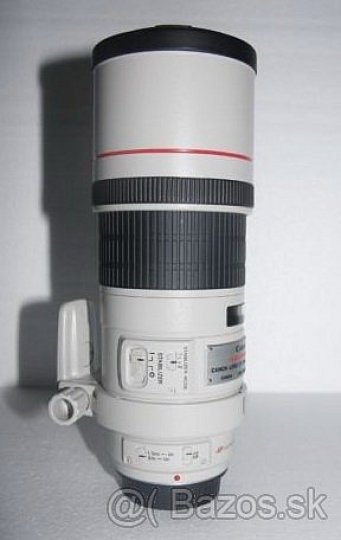 Canon EF 300/4 L IS USM